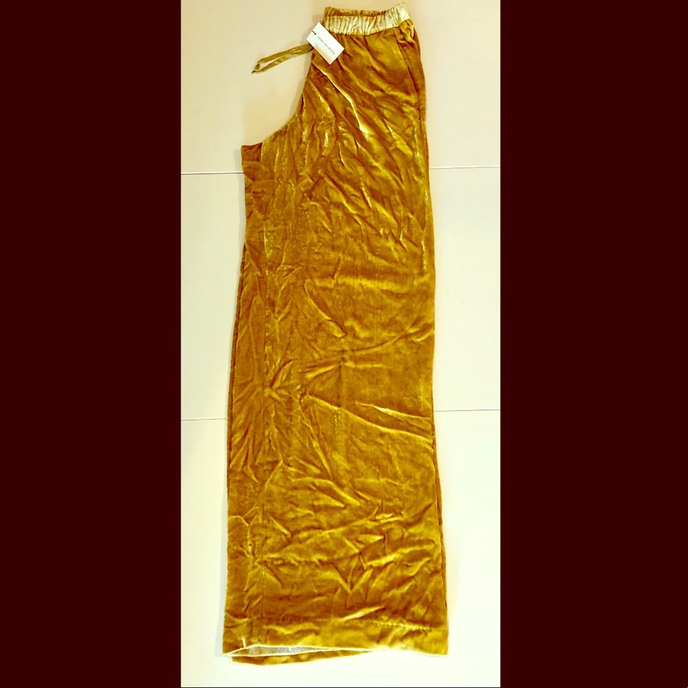 Silk viscose velvet pajama pant